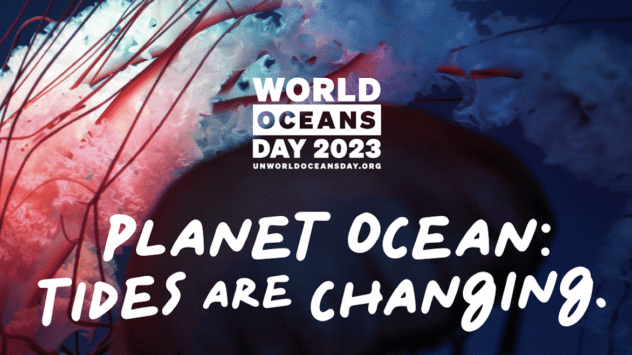 <strong>‘We Must Turn the Tide’: How to Celebrate World Oceans Day 2023</strong>