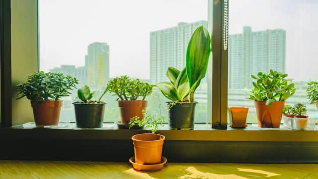 Indoor Air Quality: Everything You Need to Know