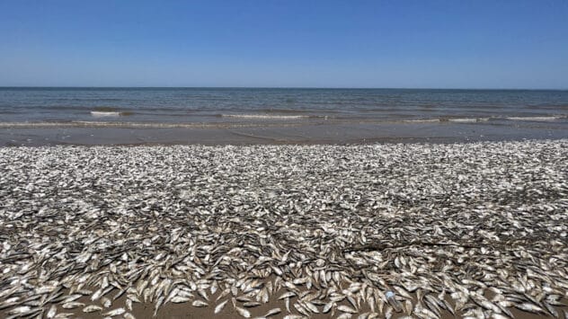 Thousands of Dead Fish Wash Up on Texas’ Gulf Coast