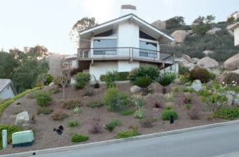 Xeriscaping: Everything You Need to Know