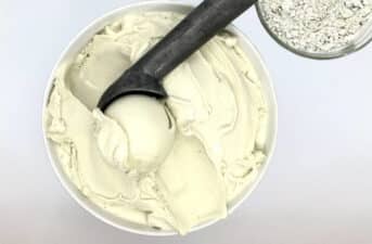 Would You Eat Vegan Ice Cream Made From Algae?