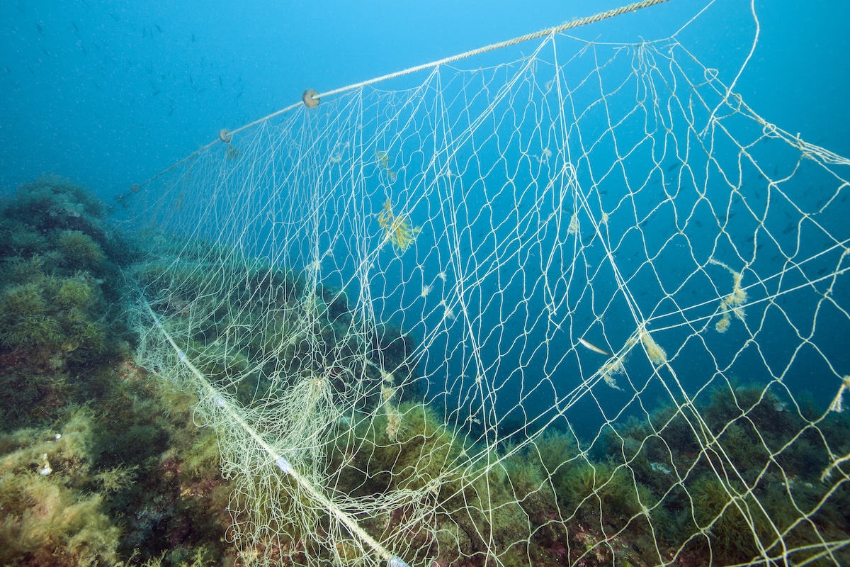 A fishing net pollutes a coral reef in Costa Brava, Spain