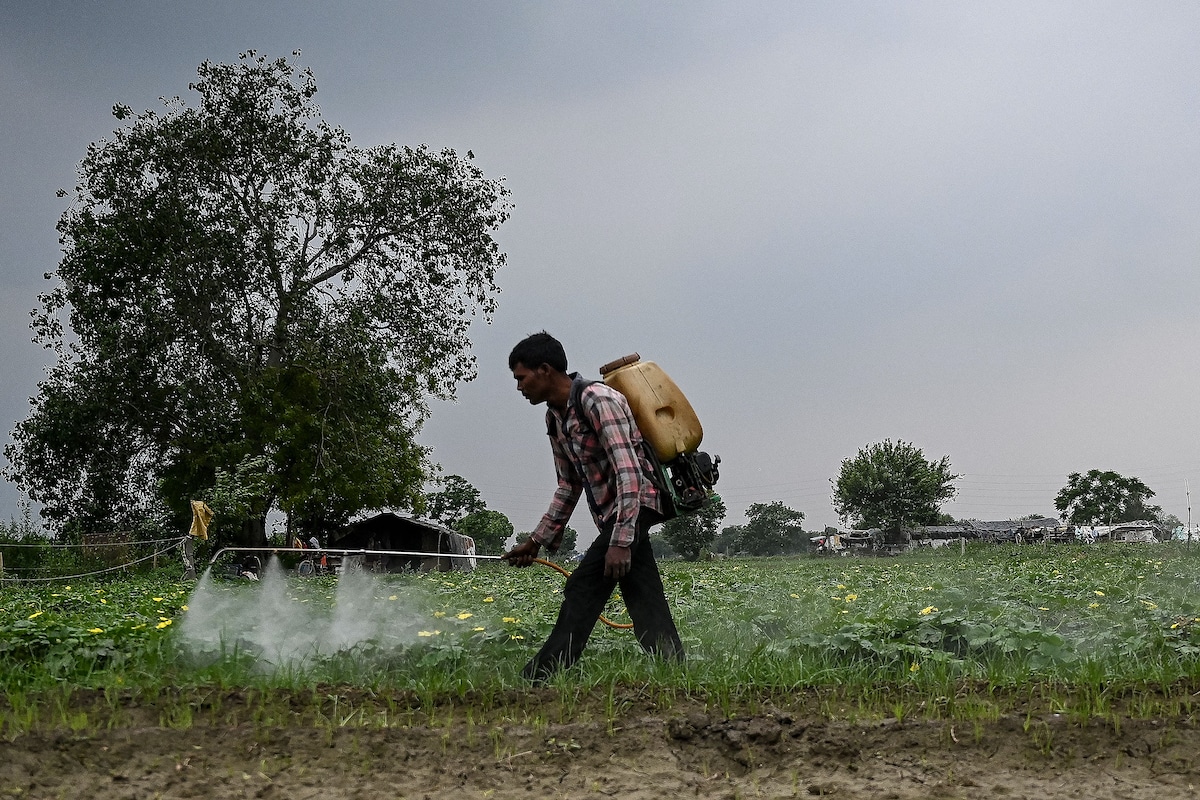 A farmer sprays pesticides at a farm along the banks of the Yamuna River in New Delhi, India