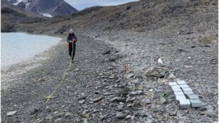 Tourists Help Scientists Find Microplastics on Remote Arctic Beaches