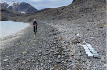 Tourists Help Scientists Find Microplastics on Remote Arctic Beaches