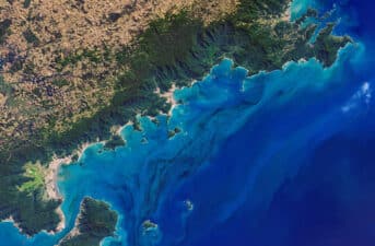 Most of World’s Oceans Changing Color, Study Finds