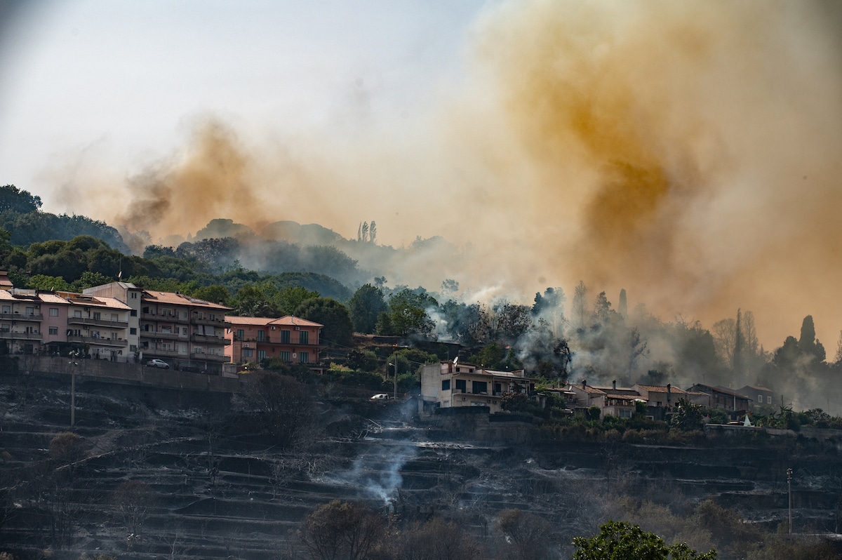 Houses and vegetation destroyed by wildfires in Catania, Sicily