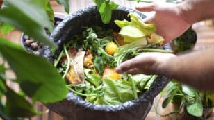 Composting 101: Everything You Need to Know