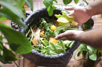 Composting 101: Everything You Need to Know