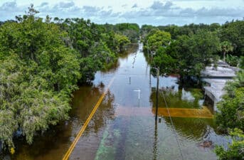 Category 3 Idalia Strongest Hurricane to Hit Big Bend, Florida on Record
