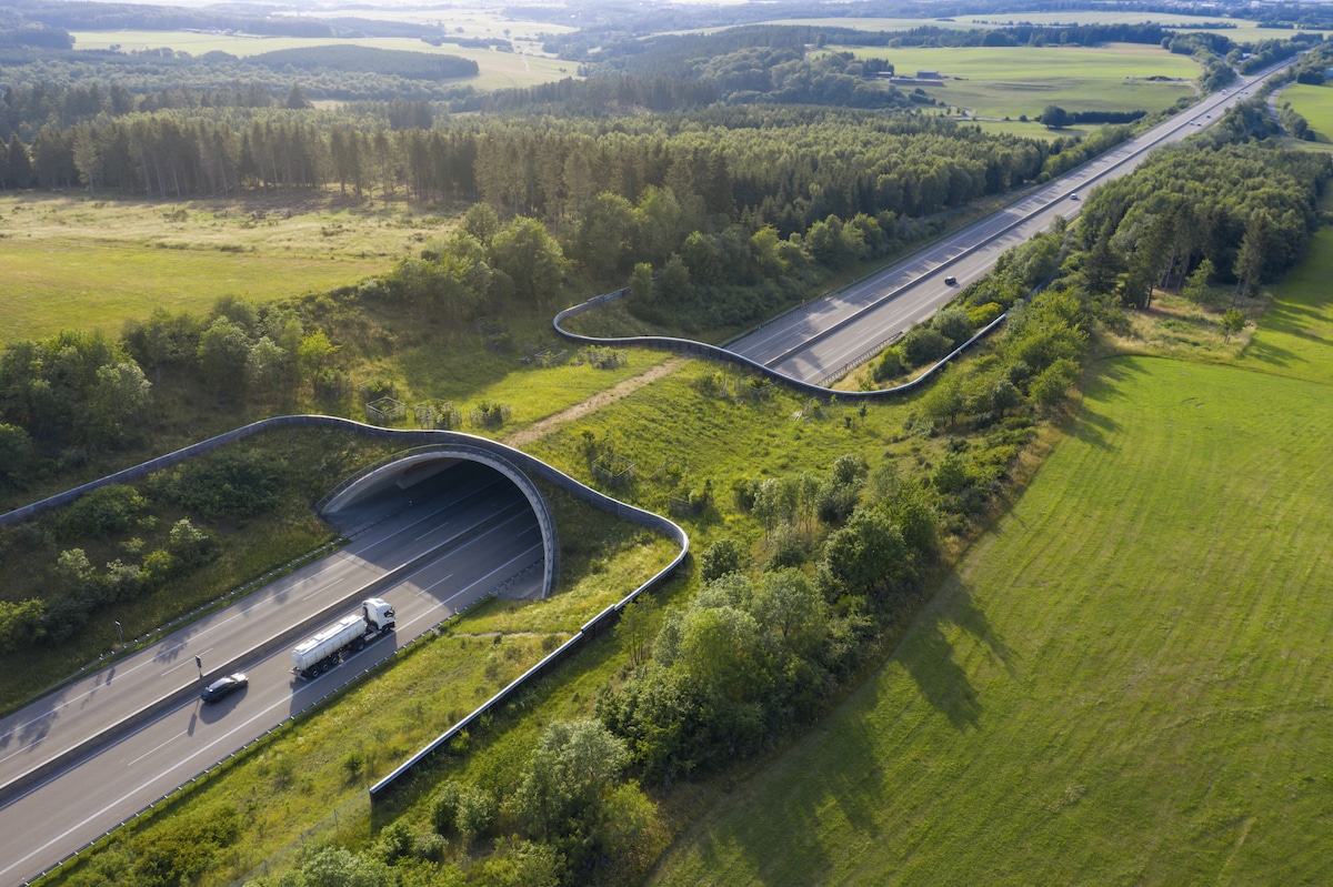 A green bridge allows animals to cross the Autobahn A1 safely in Nettersheim, Rhineland-Palatinate, Germany
