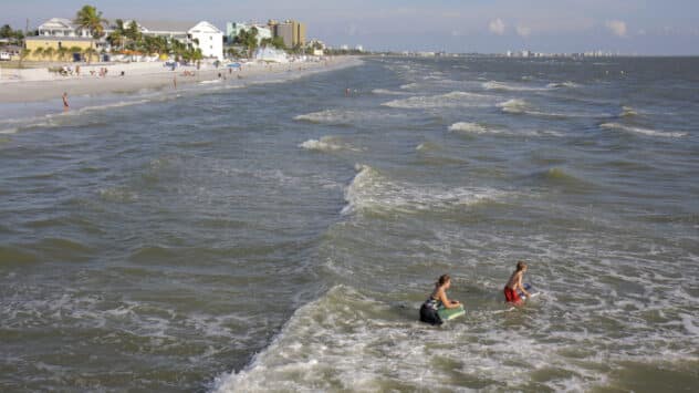 CDC Issues Alert on Harmful Bacteria in Coastal Waters Amid High Sea Surface Temperatures