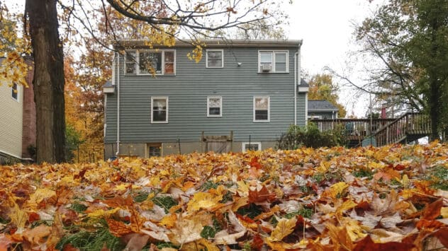 Why You Shouldn’t Rake Your Leaves This Fall