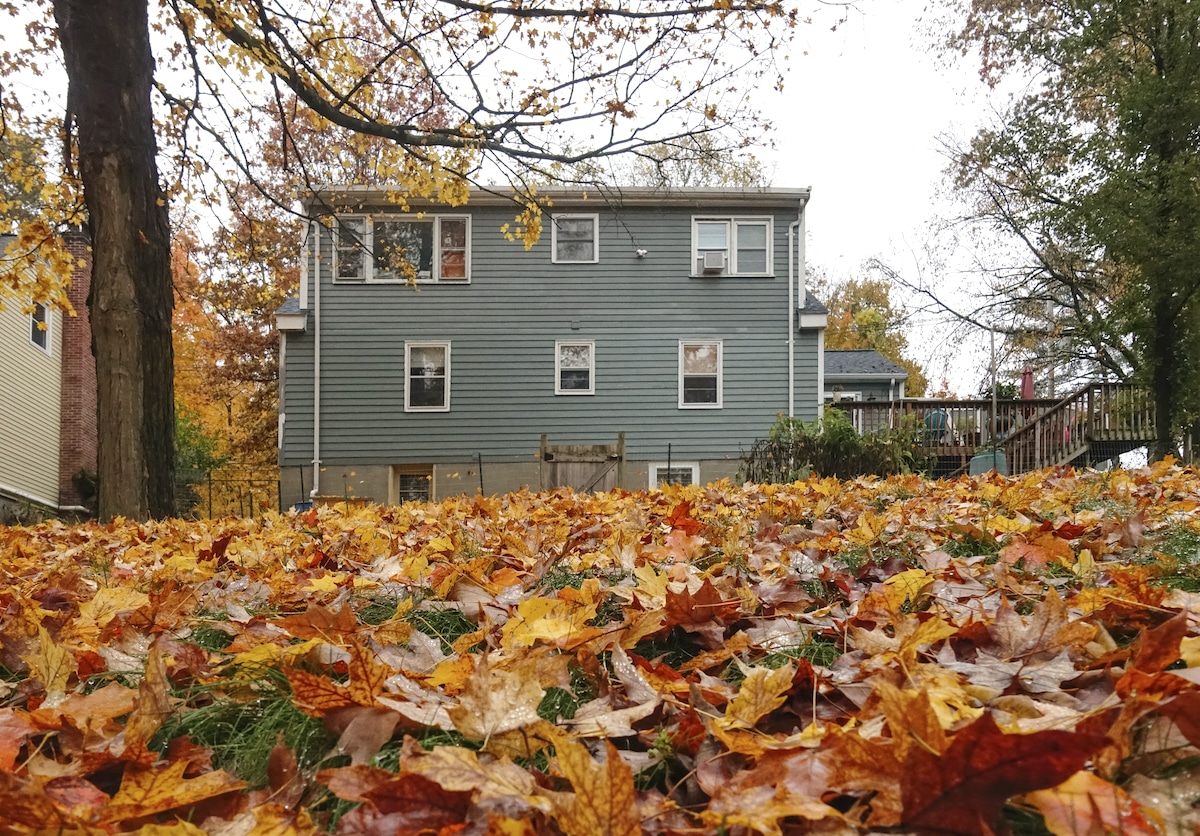 Colorful leaves cover the yard of a house in Framingham, Massachusetts