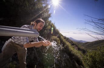 California Orders Bottled Water Company to Stop Drawing From Natural Springs Needed for Wildlife Habitat and Wildfire Protection