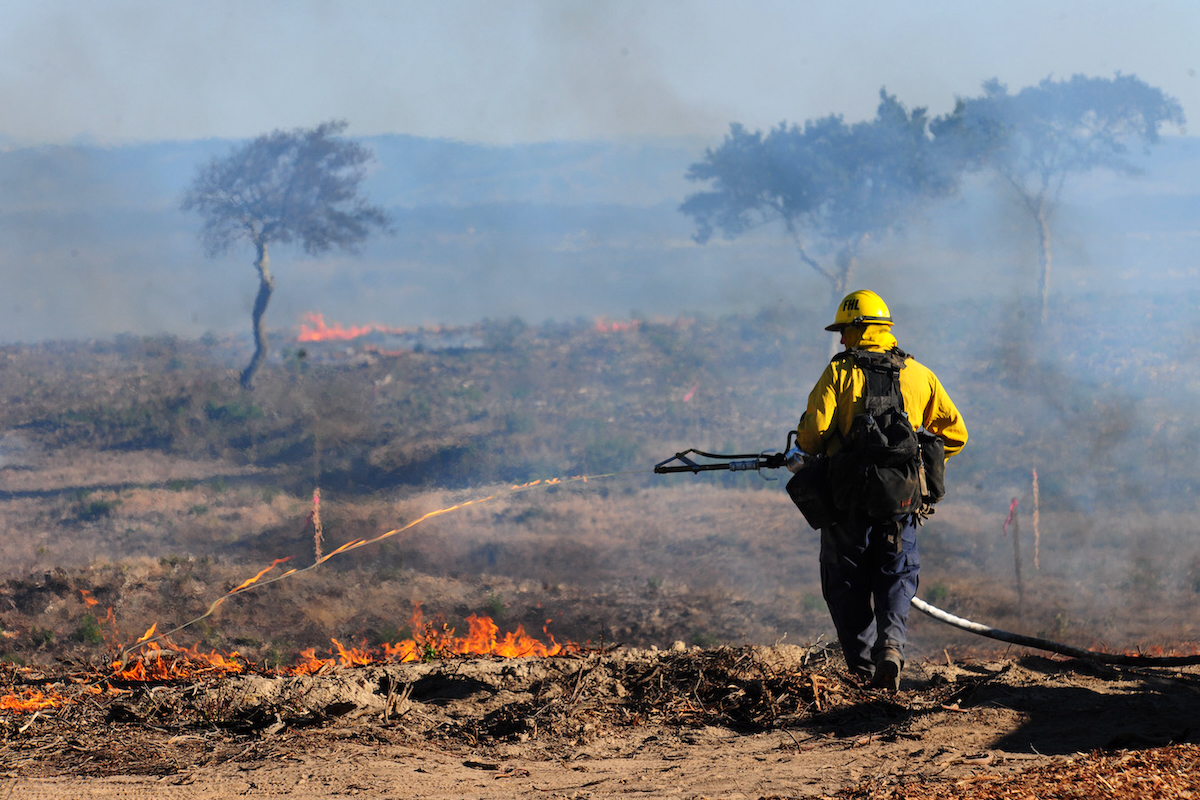 The U.S. Army conducting a controlled burn at Fort Ord National Monument near Monterrey, California