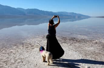 Visitors to Death Valley National Park Greeted by New Lakes, Wildflowers After Summer Deluge