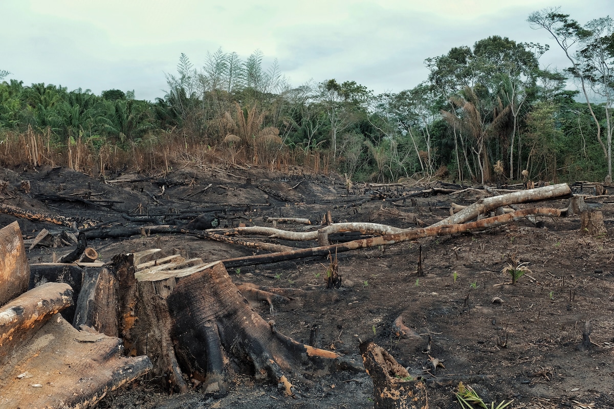 Deforestation of the Amazon rainforest in Bolivia