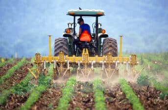 EU Votes to Cut Pesticide Use in Half by 2030