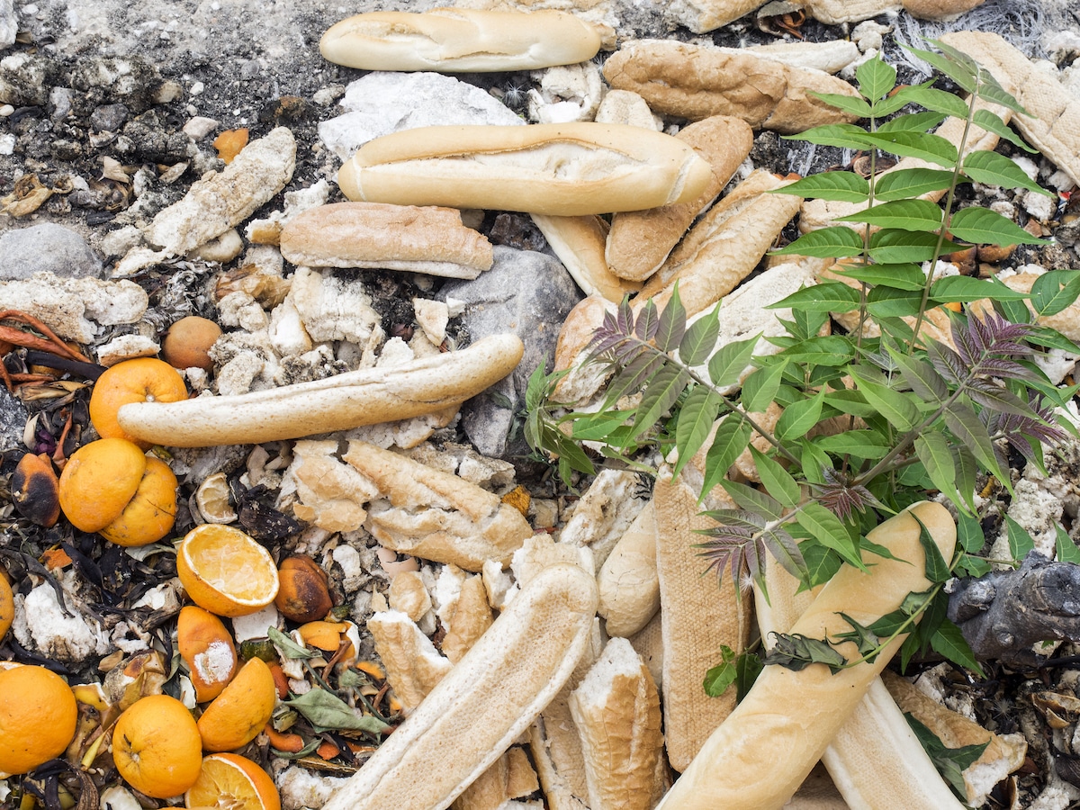 Discarded food, including baguettes and oranges, in landfill