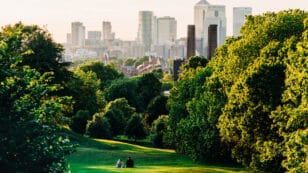 Green Space Boosts Health at the Cellular Level, Study Finds