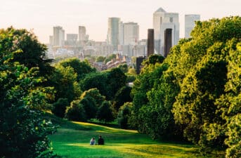 Green Space Boosts Health at the Cellular Level, Study Finds