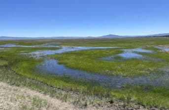 New Wildlife Refuges in Tennessee, Wyoming Announced by Interior Department
