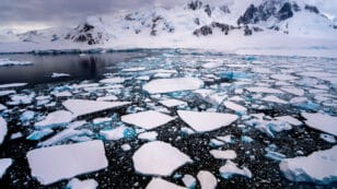 Scientists Find Surprising Reason Sea Ice Melt Could Slow the Pace of Sea Level Rise