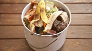 What to Do With Your Compost (Even if You Don’t Have a Garden)