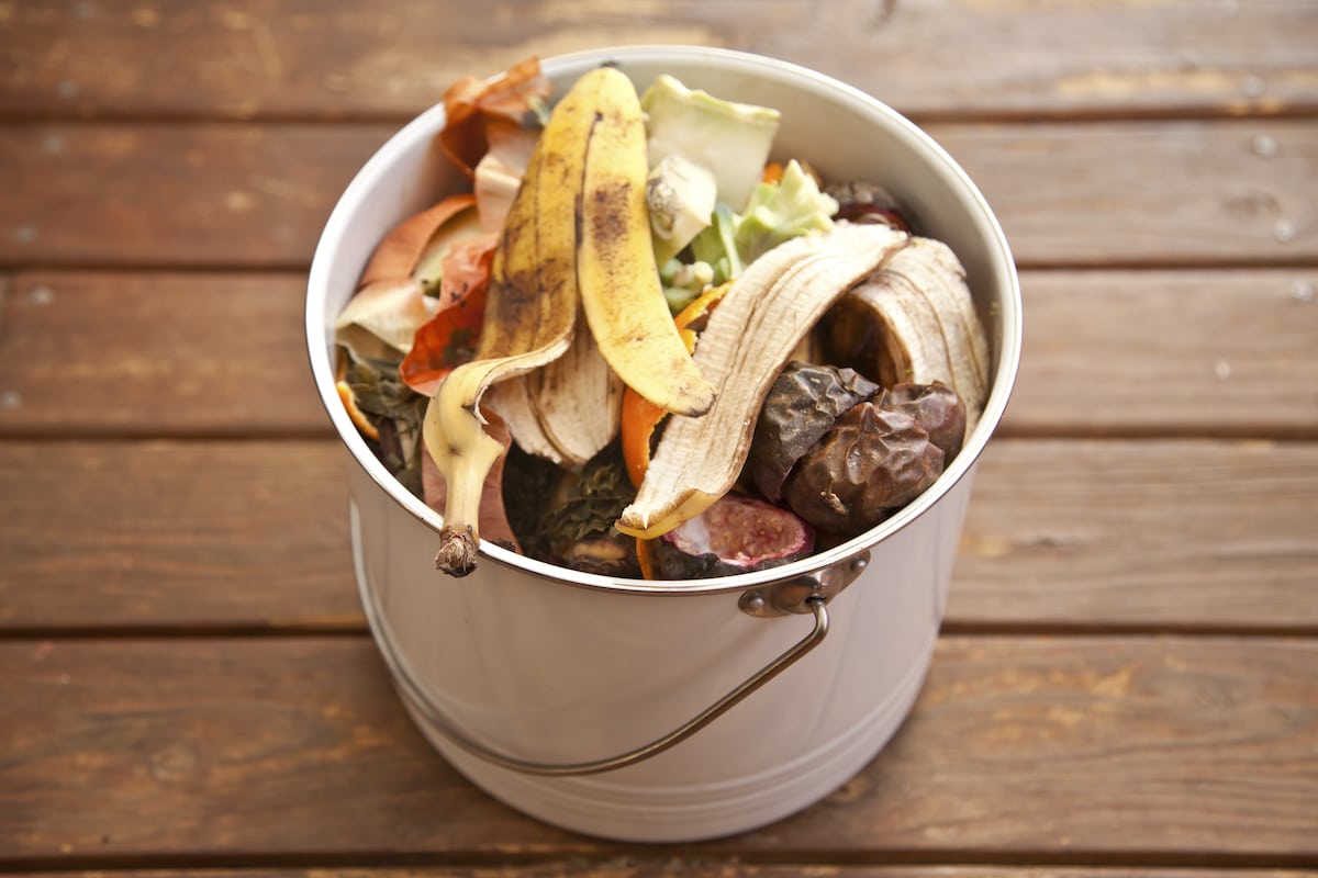Fruit and vegetable scraps in a container and ready for composting