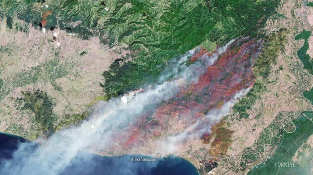 EU to Use Satellites to Track Climate-Induced Wildfires and Illegal Logging in Forests