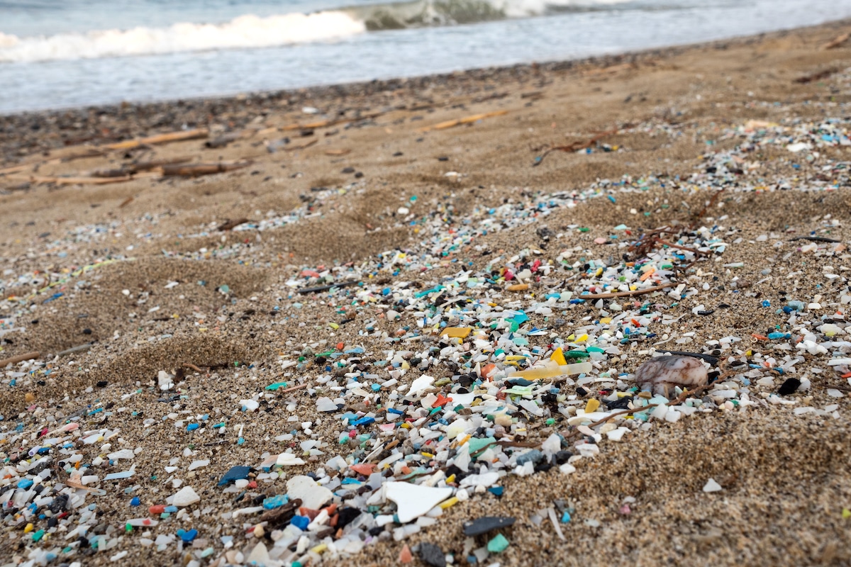 Microplastics polluting Schiavonea Beach in Calabria, Italy