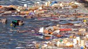 New York Sues PepsiCo Over Plastics Pollution in Buffalo River