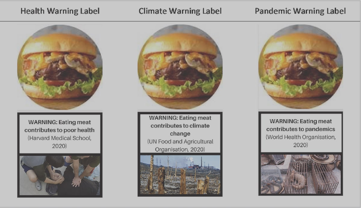 Three different labels used in the study, each warning that eating a meat-based burger contributes to one of the following: poor health, climate change, pandemics