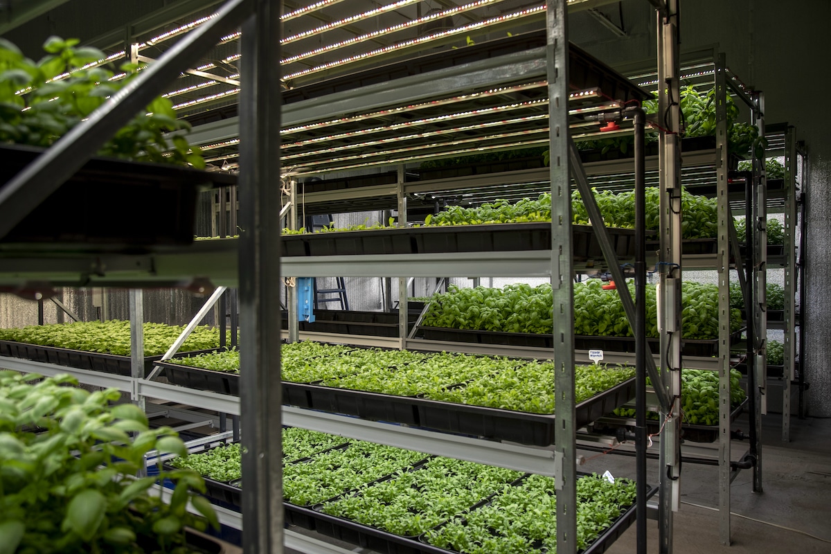 A vertical farming system grows a diversity of salad greens in a basement of a converted bomb shelter in the Ukraine