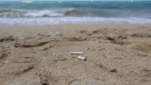 Plastic Pollution From Cigarettes Likely Costs $26 Billion Annually, Study Finds