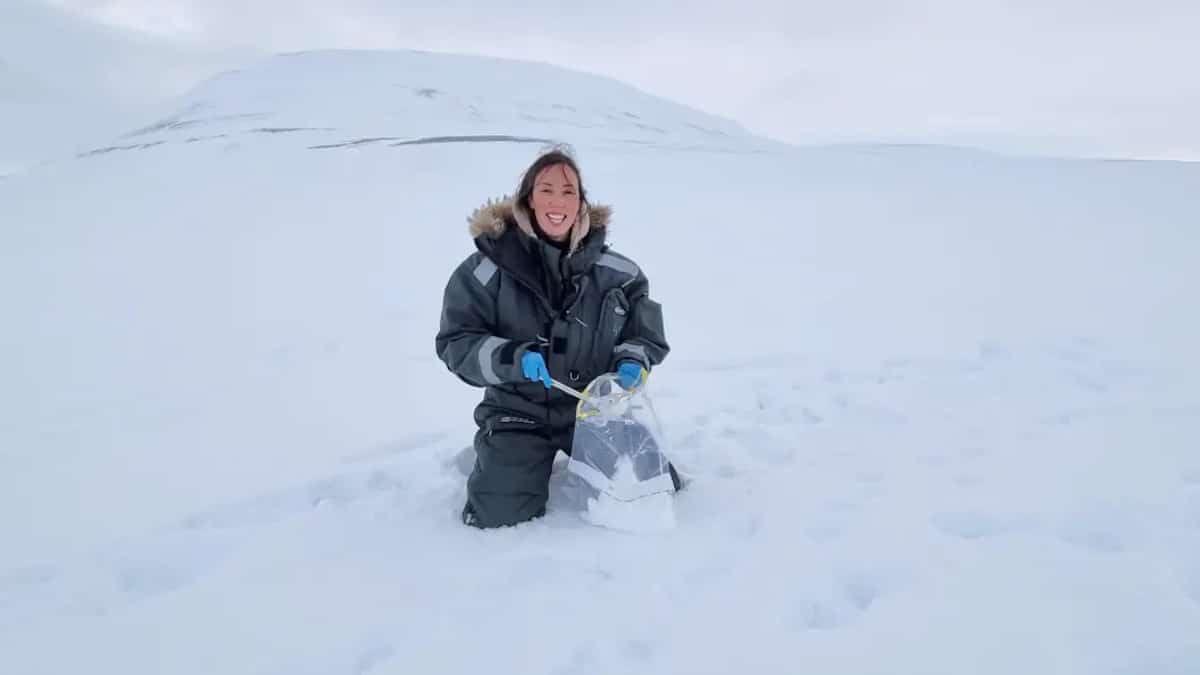 Dr. Melanie Lancaster of the World Wide Fund for Nature Global Arctic Programme collects snow containing paw prints at Svalbard, Norway