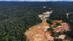 Brazil and Colombia Destroy Illegal Gold Mines in Amazon Rainforest