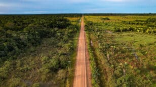 Brazil’s Congress Passes Bill to Pave Highway Through Heart of Amazon Rainforest