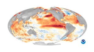 NOAA: 1-in-3 Chance 2024 Could Be Even Hotter Than 2023
