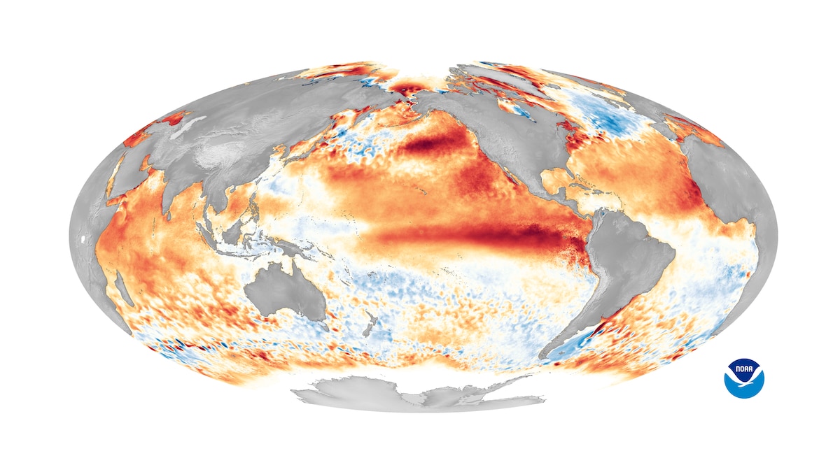 World map showing sea surface temperature anomalies during one of the strongest El Niño events on record in 2016. The red areas indicate warmer-than-average ocean temperatures, while blue areas represent cooler-than-average temperatures