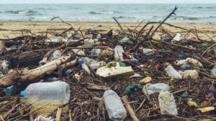 EU Drafts ‘Polluter Pays’ Rules Requiring Companies to Pay for Microplastics Cleanup
