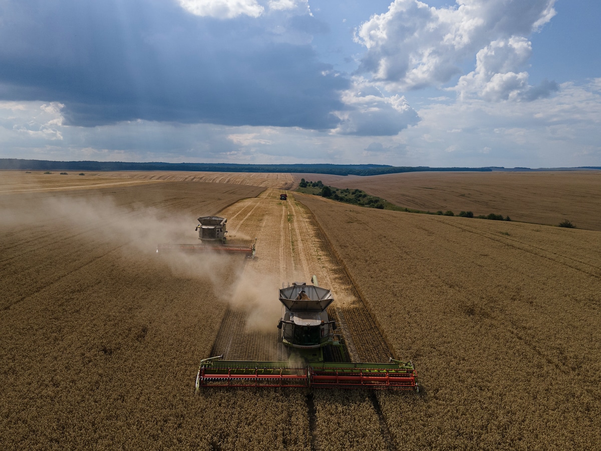Combine harvesters in a wheat field in the Ternopil region of Ukraine
