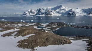 Antarctic Sea Ice Alarmingly Low for 3rd Year in a Row