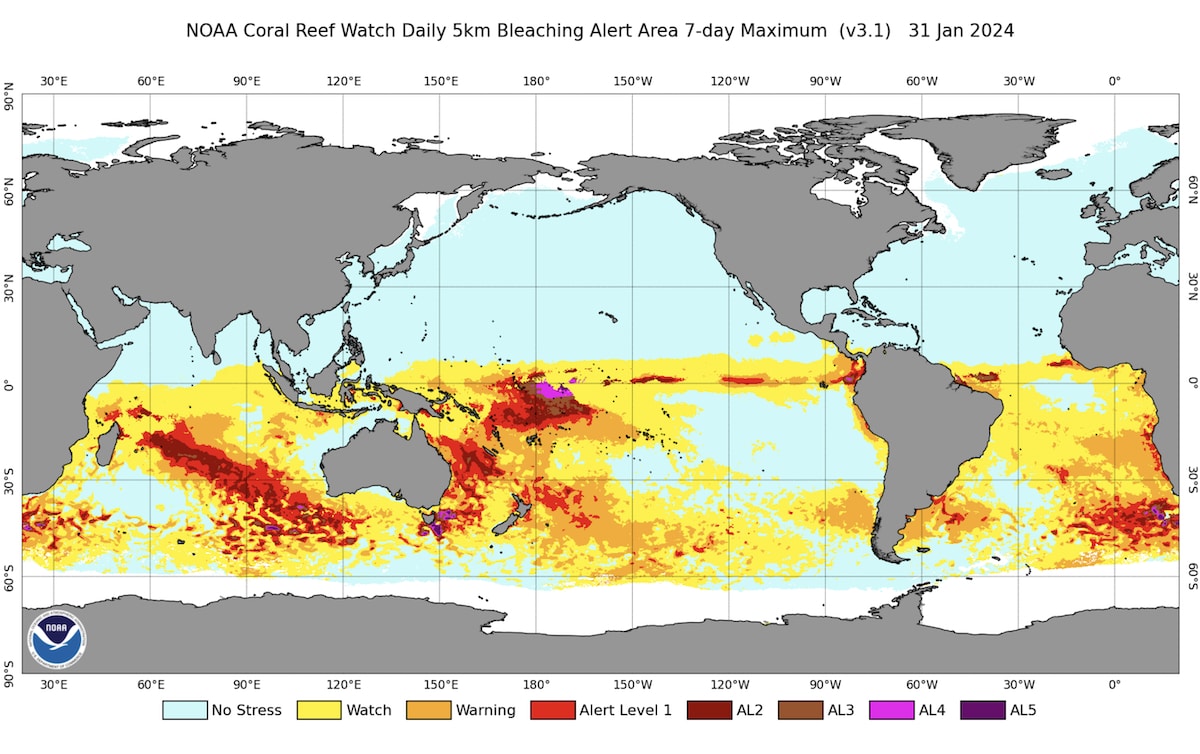 The NOAA Coral Reef Watch daily global 5km 7-day Sea Surface Temperature (SST) Trend, updated daily, provides information on the pace and direction of the SST variation, and thus coral bleaching heat stress, if present, over the past seven days