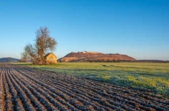 Potassium Depletion in Soil Threatens Global Food Security, Scientists Warn