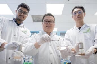 Scientists Create Artificial Worm Gut That Breaks Down Plastic