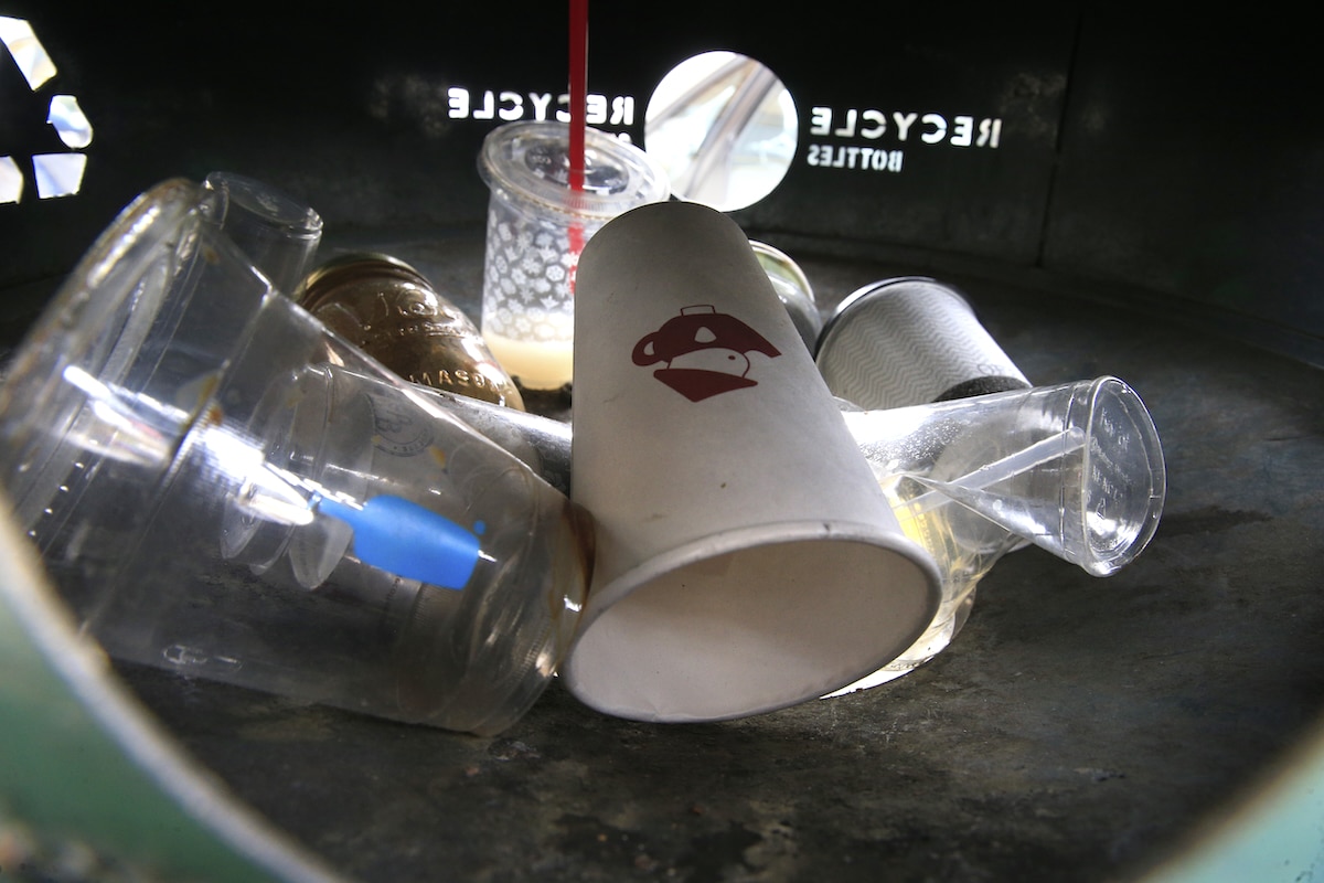 Single-use cups disposed into a recycling bin in Berkeley, California