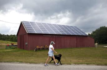 USDA Census of Agriculture Shows U.S. Losing Small Farms to Factory Farming, While Gaining in Renewable Energy Use