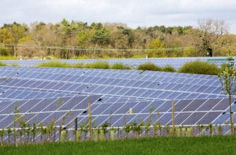 Well-Managed Solar Parks Could Boost Pollinators in UK, Study Says